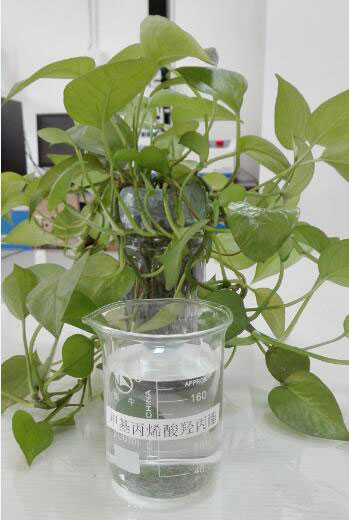 2-甲基-2-91香蕉成人A片最新版官网-1